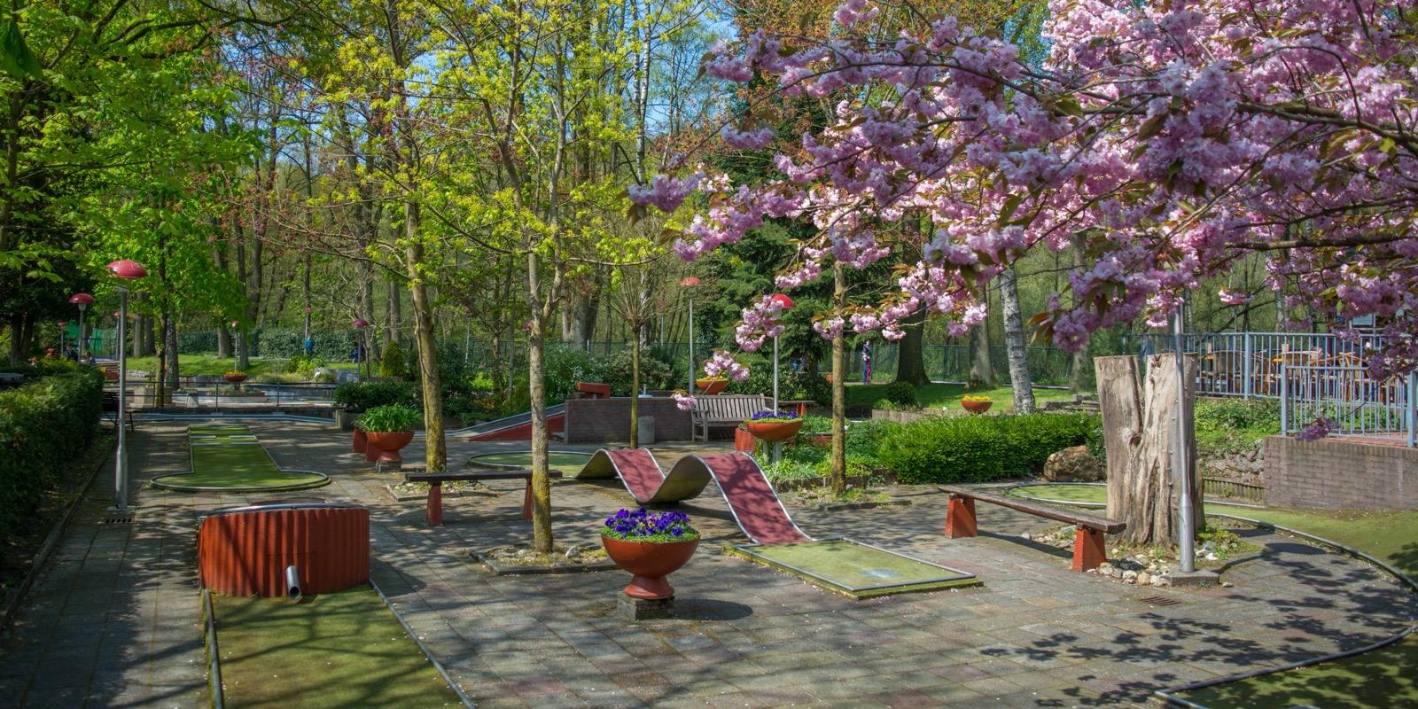 Midgetgolfbaan van het Golfhuisje in Plasmolen met bloeiende roze kersenboom en lentegroen